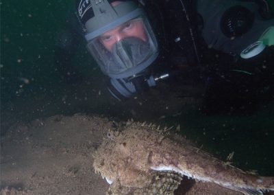 Monk fish seen during diving survey